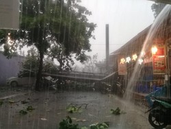 Hujan Angin di Depok: Hujan Es, Pohon Tumbang, Reklame Roboh