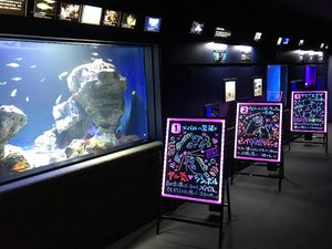 Pameran Unik di Akuarium: Lihat Hewan Laut Kawin