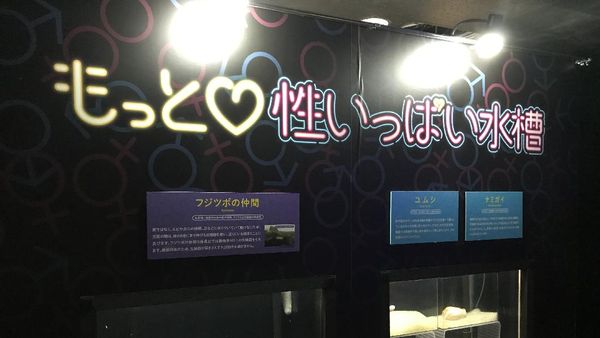 Foto: Pameran Unik, Lihat Ikan dkk Kawin