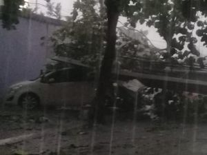 Pohon Tumbang di Jalan Margonda Depok Timpa Mobil hingga Ringsek Pohon Tumbang di Jalan Margonda Depok Timpa Mobil hingga Ringsek