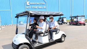Potret Jokowi Sopiri Puan di Banten