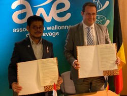 RI & Belgia Kerja Sama Manajemen Peternakan Belgian Blue