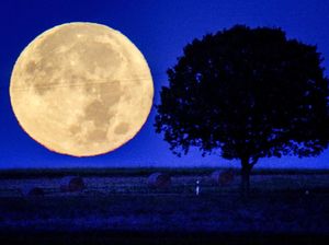 Bulan Purnama Besar Ditonton Berkerumun Warga Jerman