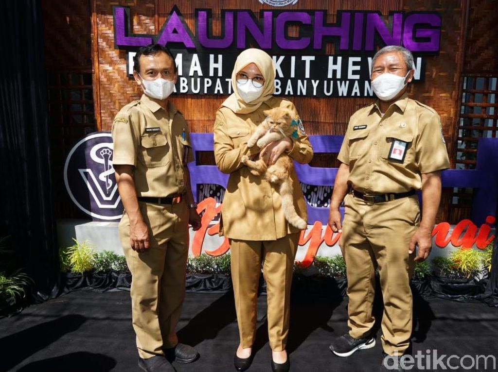 2.300 Hewan di Banyuwangi Akan Divaksin Rabies Gratis