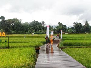 Foto: Desa Mulyaharja, Tempat Liburan Fotogenik di Bogor