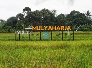 Mengatasi Tantangan Pengembangan Agroeduwisata