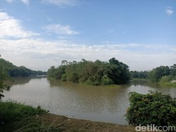Mitos Buaya Putih di Bendungan Barugbug Karawang