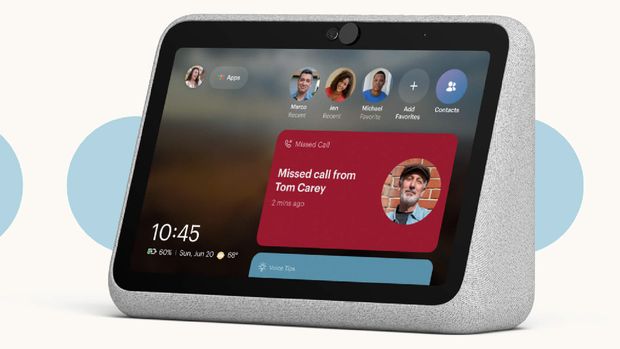facebook portal go