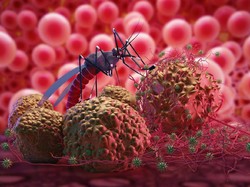 Waspada! DBD Renggut Nyawa 2 Anak di Kota Tasikmalaya