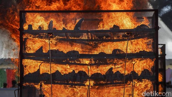 India Musnahkan Ribuan Cula Badak Ilegal