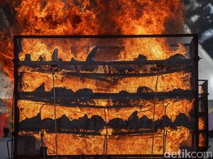 India Musnahkan Ribuan Cula Badak Ilegal