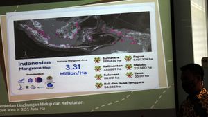 Kerja Sama untuk Penambahan Hutan Mangrove
