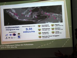 Kerja Sama untuk Penambahan Hutan Mangrove