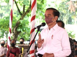 Jokowi Mau Papua Mandiri Pangan Tanpa Bergantung Pulau Lain