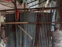 Satpol PP Bongkar Bangli-Kandang Ayam di Cengkareng Jakbar