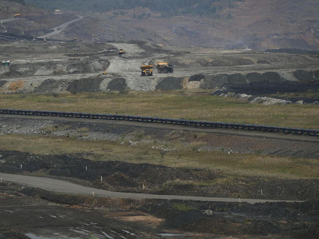 Cadangan 3 Miliar Ton, PTBA Target Masuk 3 Besar Produsen Batu Bara Cadangan 3 Miliar Ton, PTBA Target Masuk 3 Besar Produsen Batu Bara