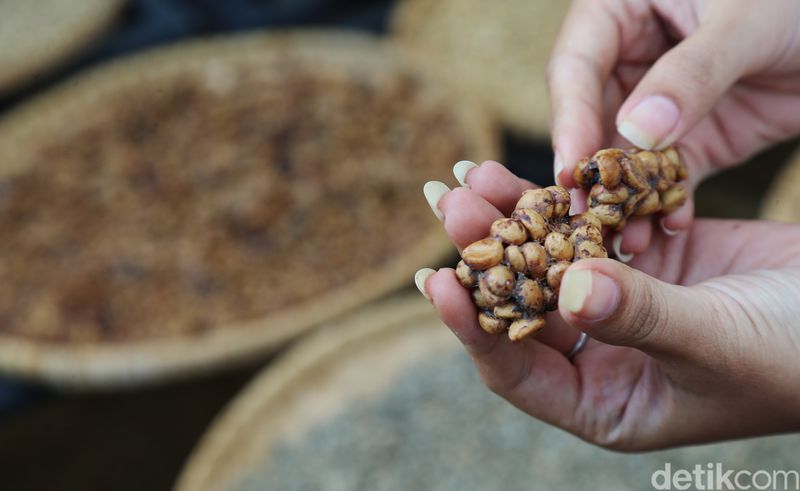 Pamor kopi luwak tersohor ke berbagai negara. Keistimewaan kopi ini tak hanya dari proses pembuatannya, kopi luwak bahkan disebut sebagai kopi termahal di dunia