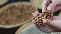 9 Makanan Aneh Terpopuler di Asia Tenggara, Ada dari Indonesia Lho!