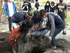 Bayi Dugong di Polman Mati Usai Sepekan Dirawat, Ini Penjelasan Dokter Bayi Dugong di Polman Mati Usai Sepekan Dirawat, Ini Penjelasan Dokter