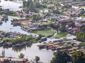 Luntur Pesona Danau Dal karena Limbah