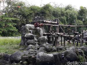 Minim Kunjungan dan Beban Operasional Membengkak, Gembira Loka Zoo Hanya Buka Weekend