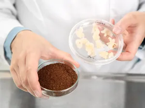 Ilmuwan Berhasil Ciptakan Kopi Tanpa Biji Kopi Untuk Ngopi di Masa Depan