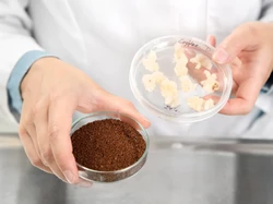 Ilmuwan Berhasil Ciptakan Kopi Tanpa Biji Kopi Untuk Ngopi di Masa Depan