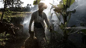 Potret Petani, Berharap Sejahtera di Alam yang Kaya