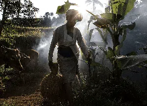 Potret Petani, Berharap Sejahtera di Alam yang Kaya