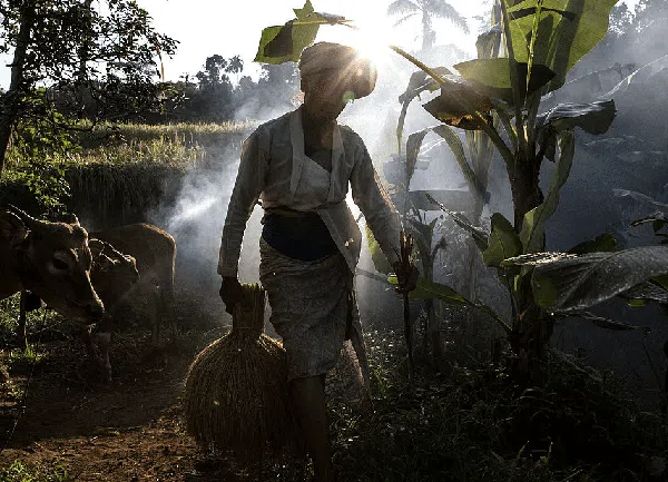 Potret Petani, Berharap Sejahtera di Alam yang Kaya