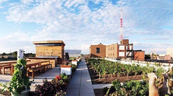 6 Pekerjaan Aneh yang Bakal Muncul di Masa Depan