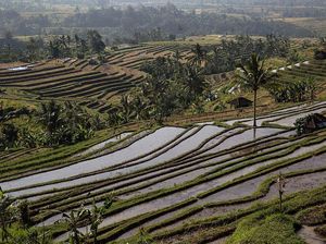 Pariwisata Bangkit, 3 Destinasi Domestik Ini Jadi Primadona Pariwisata Bangkit, 3 Destinasi Domestik Ini Jadi Primadona