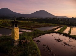 Kemarau Ekstrem Ancam Kelangkaan Pangan, Pemerintah Bisa Apa?