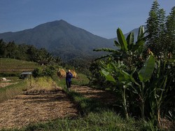Penerbangan Internasional Buka, Imigrasi Bandara Bali Siaga