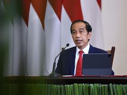 Jokowi Setujui Pemberian Amnesti Dosen Unsyiah Pengkritik Kampus