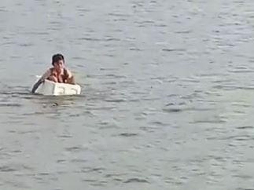 Viral Anak Seberangi Sungai Naik Styrofoam, Susi-Fadli Zon Mau Patungan Perahu