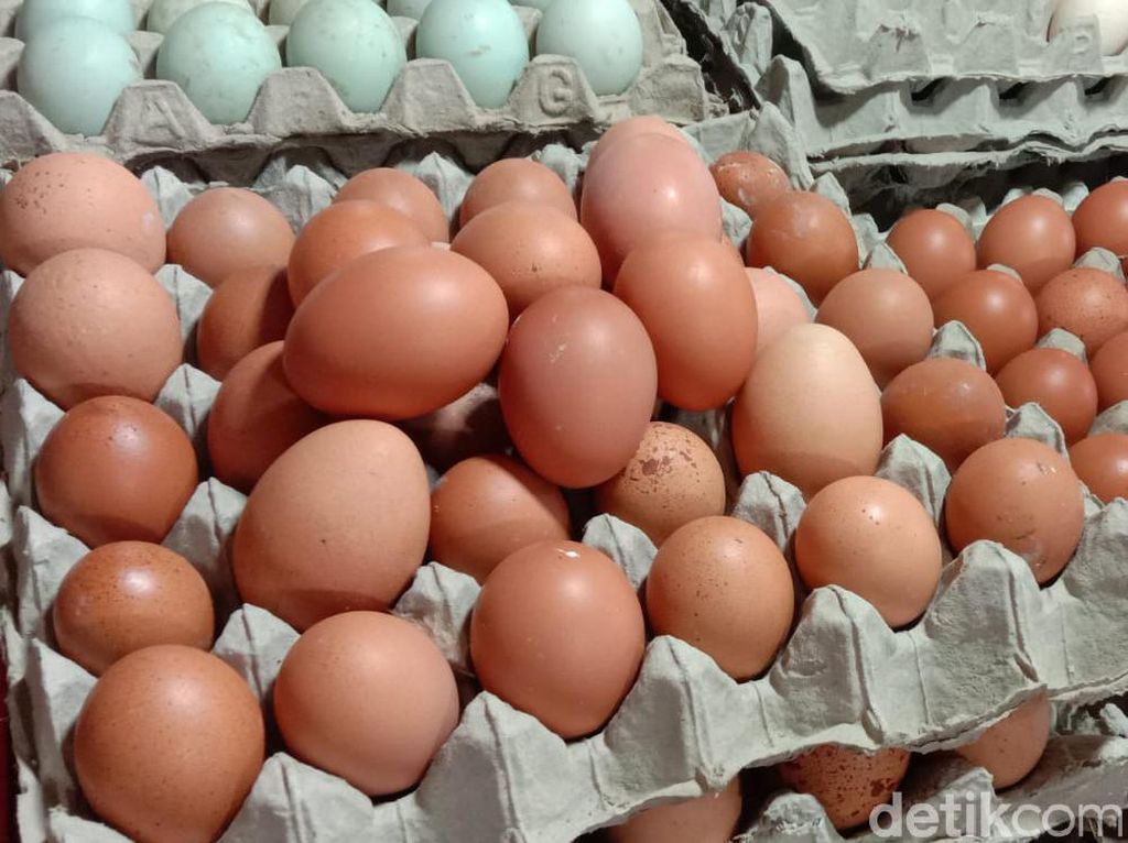 Meski Telur Lagi Murah, Batasi Konsumsi Hariannya Agar Kolesterol Tak Naik Meski Telur Lagi Murah, Batasi Konsumsi Hariannya Agar Kolesterol Tak Naik