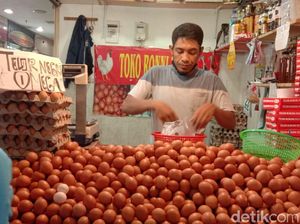 Penyebab Harga Telur Makin Anjlok Versi Pedagang, Bikin Kaget!