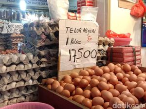 Harga Telur Anjlok Jadi Cuma Rp 17.000/Kg, Ini 3 Faktanya