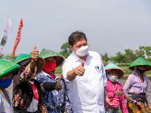 Airlangga: Manfaat UU Ciptaker Mampu Memicu Permintaan Tenaga Kerja