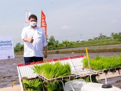 UU Ciptaker Dinilai Perkuat Pemberdayaan Petani demi Ketahanan Pangan