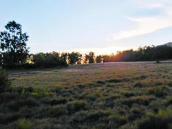 Hii ... Ada Penampakan Serdadu Jepang di Cikasur Gunung Argopuro