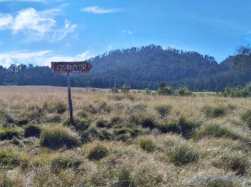 Bekas Landasan Pesawat Cikasur-Argopuro Dipercaya Tempat Bermain Puteri Rengganis Bekas Landasan Pesawat Cikasur-Argopuro Dipercaya Tempat Bermain Puteri Rengganis
