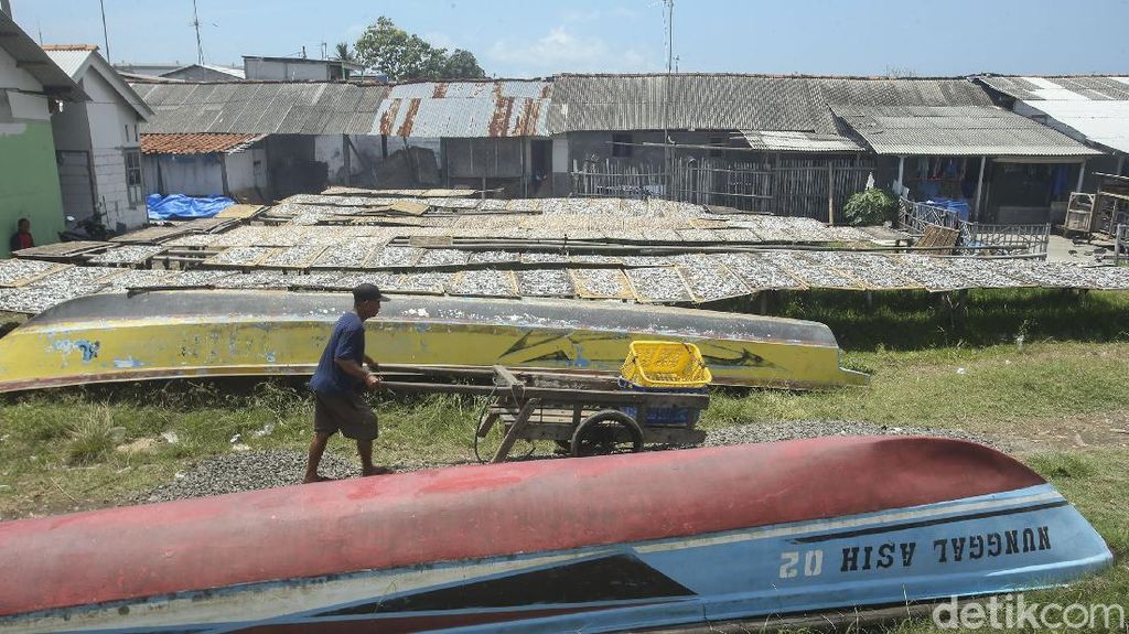 Menyapa Kampung Nelayan Cilacap yang Ditinjau Jokowi