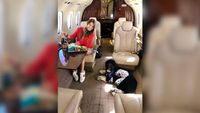 Fenomena Anjing-Kucing Jadi Penumpang Jet Pribadi, Kamu Sudah Naik?
