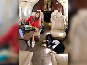 Fenomena Anjing-Kucing Jadi Penumpang Jet Pribadi, Kamu Sudah Naik?