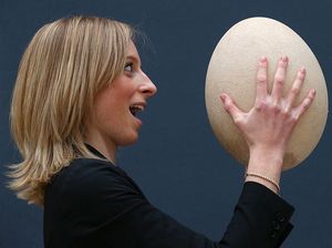 Gede Banget, Fosil Telur Burung Gajah yang Bikin Terperangah