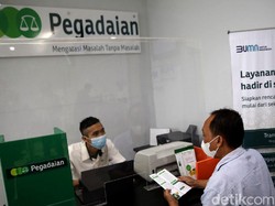 Ditutup Besok! Pegadaian Buka Lowongan Kerja Gaji Rp 19 Juta
