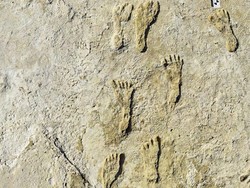 Jejak Kaki Tertua di Dunia Ditemukan di AS, Usianya 22 Ribu Tahun!