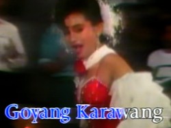 Asal Goyang Karawang, Dicap Goyang Panas Hingga Dipopulerkan Lilis Karlina